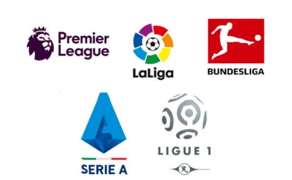 场行情的实 场行情的实